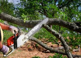 Best Seasonal Cleanup (Spring/Fall)  in , MO